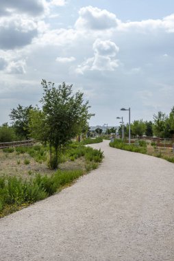 Fırtına bulutlarıyla dolu bir günde genç ağaçlarla dolu bir parkta bir çakıl yürür.