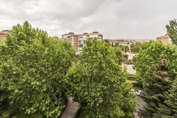 stock image Buildings of a city with a large number of leafy trees blocking the views