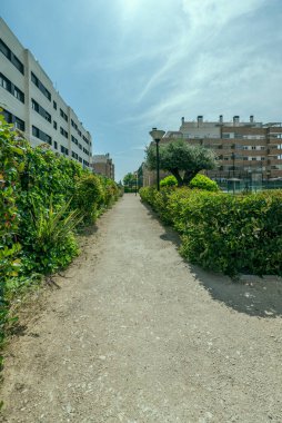 Bir yerleşim yerinin çitleri ve bitkileri arasındaki toprak yol