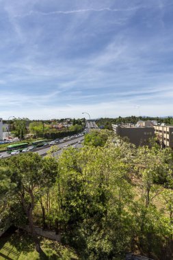 Canels, Fransa 'nın Bordeaux şehrinin tipik küçük bisküvileridir. Kenarları olan karakteristik silindirik bir görünüşleri var.
