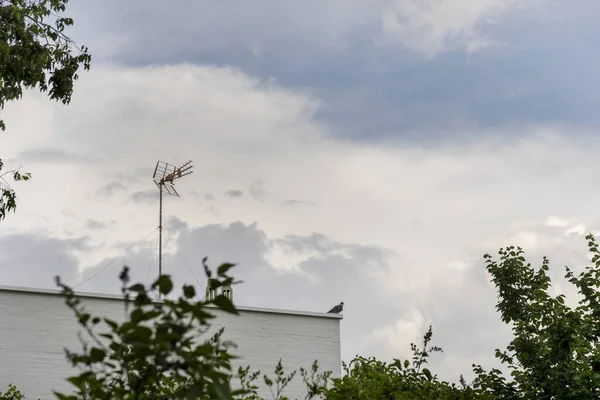 Dach Eines Weißen Backsteinhauses Mit Einer Taube Und Einer Fernsehantenne — Stockfoto