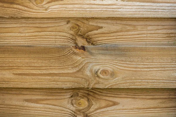 木质部背景 颗粒多 矢量木背景纹理 — 图库照片