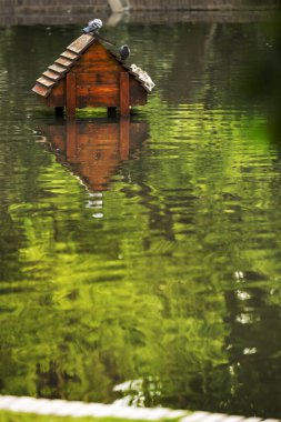 Şehir parkında gölün ortasında ahşap bir ördek evi.