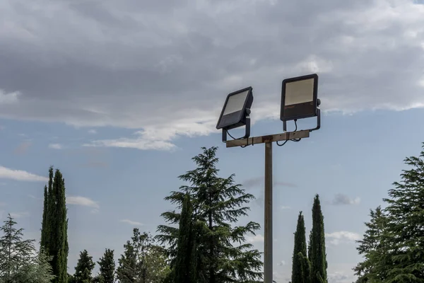 Modern energy-saving garden lamps with led bulbs in the middle of trees of different families