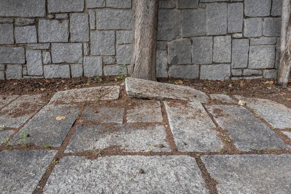 地面にある大きな研磨されていない花崗岩のスラブ いくつかは木の根によって育てられた — ストック写真
