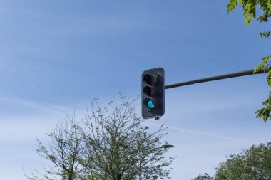 Yeşil ışığı olan bir trafik lambası yapraklı ağaçlarla dolu bir caddede