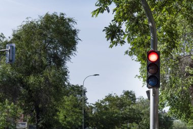 Yapraklı ağaçlarla dolu bir sokakta kırmızı ışıklı bir trafik ışığı