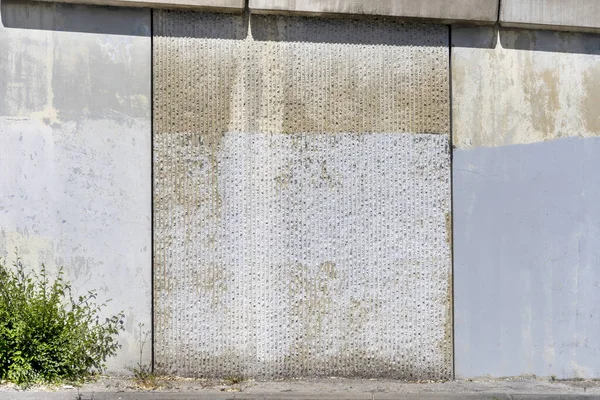 Ściana Betonowa Farbą Pokrywającą Graffiti Grupami Zielonych Roślin — Zdjęcie stockowe