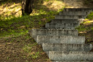 Çimenli ve ağaçlı bir şehir parkının yolunda granit merdiven