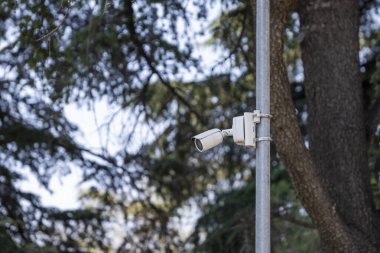 Ağaçların yanındaki ince metal bir direğe yerleştirilmiş küçük bir güvenlik kamerası.