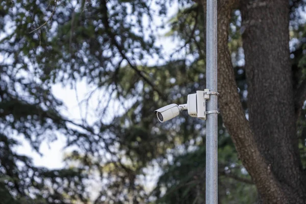 Eine Kleine Überwachungskamera Die Einem Dünnen Metallpfosten Neben Einigen Bäumen — Stockfoto