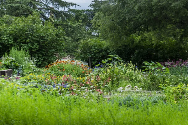Velká Skupina Květin Různých Barev Typů Zelenými Listy Městské Zahradě — Stock fotografie