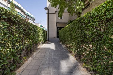 Abajur direkli çitler, kaldırım taşı zeminli bahçeler ve konut binalarının ortak alanlarında küçük ağaçlı bahçeler arasında bir yürüyüş.