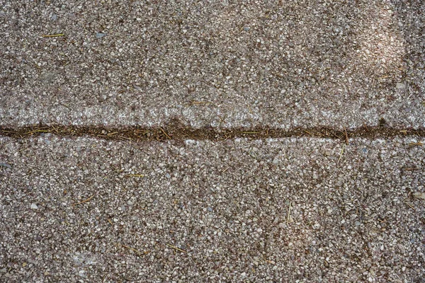 Háttér Kép Cement Kövek Szerves Maradványok Padlón Egy Sétány — Stock Fotó