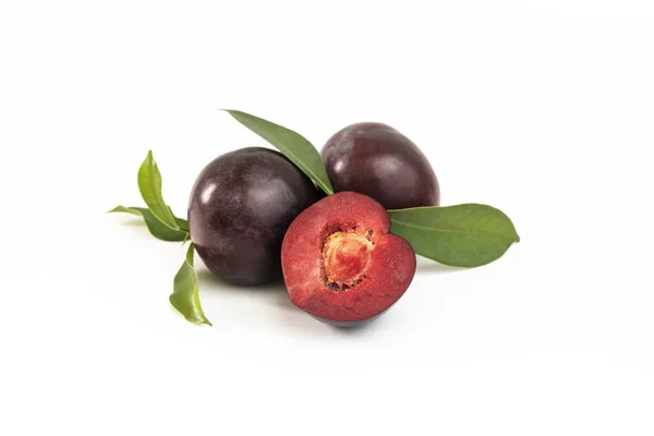 Due Its Sorbitol Content Plums Have Laxative Effect Which Why — Stock Photo, Image
