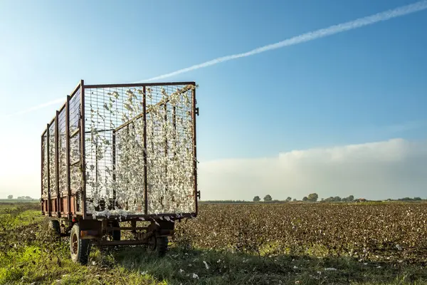 A trailer for picking cotton in a crop field