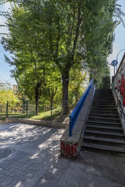 Yapraklı ağaçlarla kaplı bir şehir parkında mavi metal parmaklıklı merdivenler.