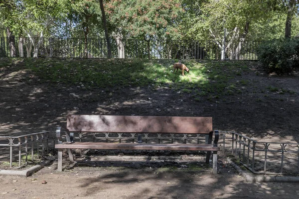 A black wooden and metal bench inside an urban park