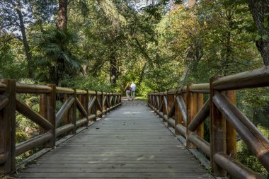 Parmaklıklardan yapılmış korkuluklu bir köprü. Parkta bir sürü ağaç ve yürüyüş yapan bir çift.