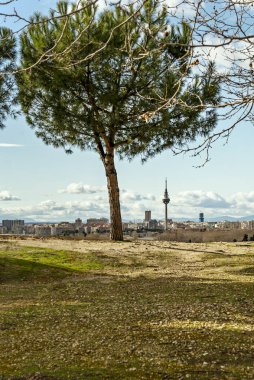 Madrid şehri ve El Piruli adındaki TV kulesi kenar mahallelerdeki bir parktan görüldü.