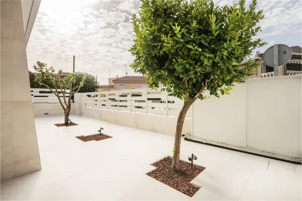 A white marble patio with tree pits and trees planted in them