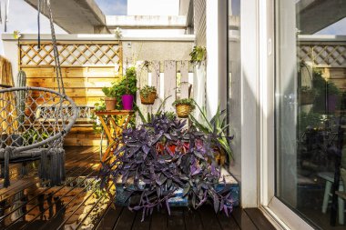 Teras katında yeni sulanmış süsleme bitkileri olan bir daire.