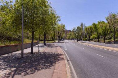 Güneşli bir bahar gününde ağaçları olan boş bir şehir caddesi.