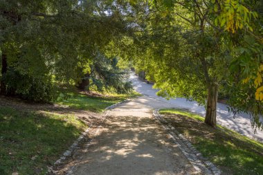 Bahçeler, ağaçlar ve çimenler arasındaki toprak yollar