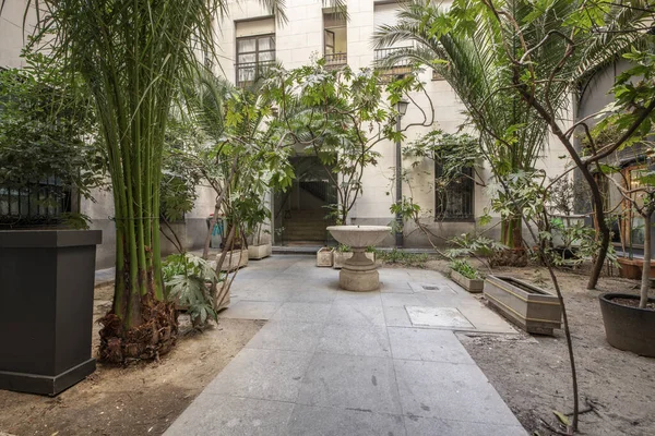 Granite pavement corridor between plants and palm trees and a fountain in the interior block patio of an urban dwelling