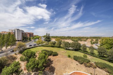 Şehrin kenar mahallelerindeki bir parkın manzarası. Çalılar, seyrek çimenler ve genç ağaçlar.