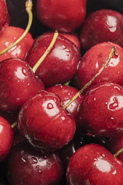 Close up of a bunch of ripe cherries with stems with water drops on the surface