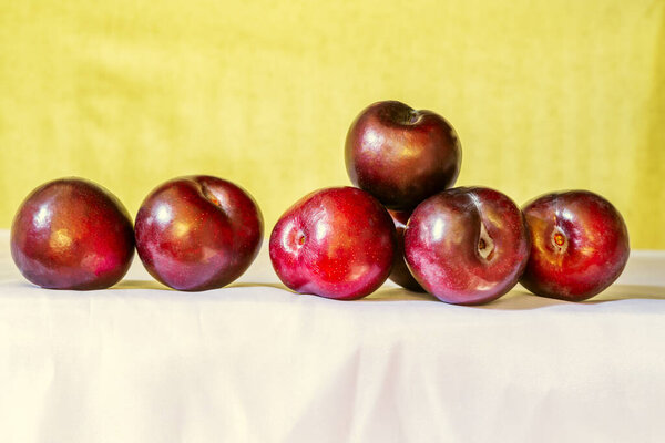 The plum is a drupe, that is, a fleshy fruit with a single seed surrounded by a woody endocarp