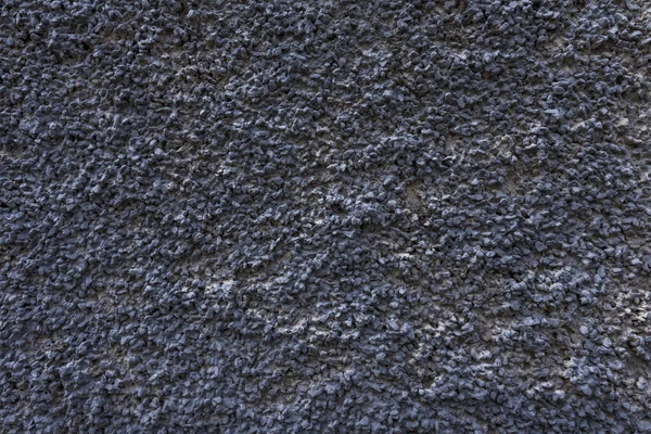 A cement wall covered with fine stone glued on. Vector stone texture background