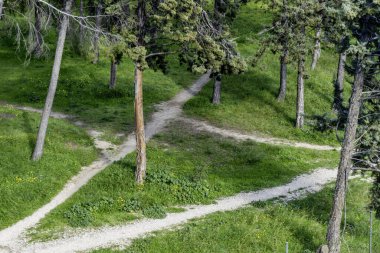 Parkta farklı yönlere giden izler.