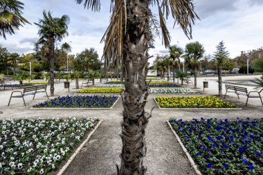 Farklı renklerde çiçek tarlaları ve kontrollü sulama tüpleri bir hatta yerleştirilmiş ve kum kaplı bir şehir parkında palmiye ağaçları tarafından çevrelenmiş.