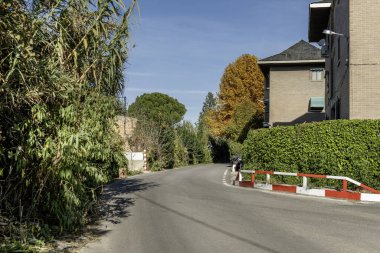 Ağaçlar arasındaki geçitte biten dar bir yol.