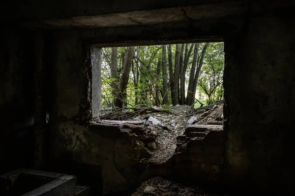 A stay in an abandoned building full of waste, dirt and where nature wants to make its way