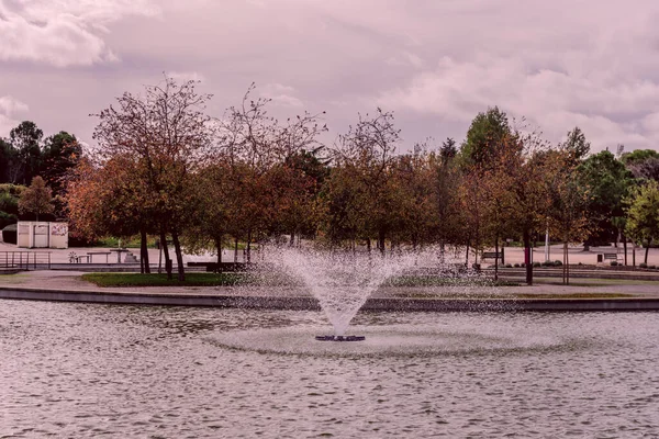 Yapay bir lagünün ortasında şehir parkının ortasına dairesel bir su akıntısı salan bir çeşme.