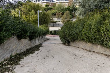 Şehir parkında duvarlarla ve kesilmemiş çitlerle kaplı eğimli toprak bir yol.
