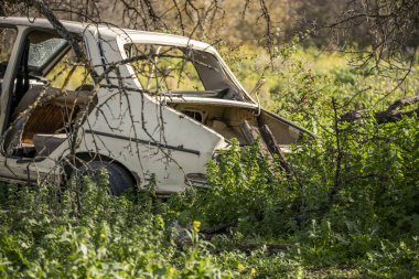 Tarlanın ortasında terk edilmiş eski bir araç. Etrafı bakir çalılarla çevrili.