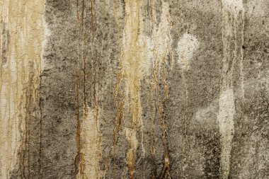 Ait oldukları yapının terk edilmesiyle oluşan korkunç bir duvar.