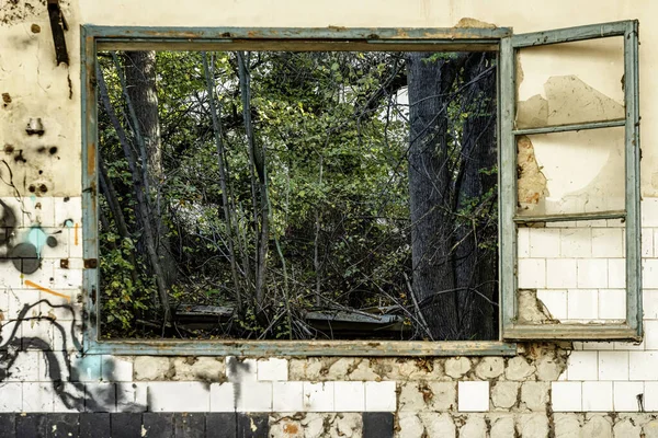 A room in an abandoned and dilapidated building with windows overlooking a pile of undergrowth