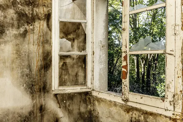 Interior of a dirty and dilapidated room in an abandoned house with broken glass windows