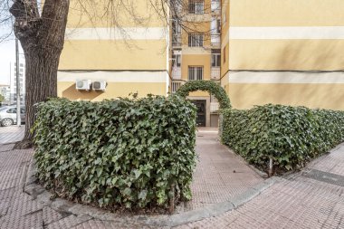 Kentsel yerleşim yerinin giriş koridorundaki çitler ve bahçe.