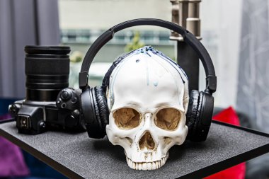 Yorulmak bilmeyen kafatası arkadaşı kablosuz kulaklıkla gitmeye hevesli.