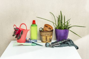 Açık mavi yüzey üzerinde hortum ve bitkilerle bahçe aksesuarları.