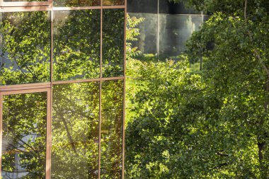 Etrafında yapraklı ağaçlar olan cam cepheli bir bina.