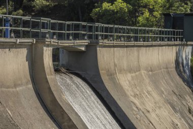 Tatlı su bataklıkları, doğal su seviyesindeki dalgalanmaları korumak için kritik derecede yağmur suyuna ve mevsimsel sellere bağlı olan büyük nehirler veya göller boyunca oluşur..