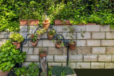 Dekoratif bitkilerle çevrili bir bahçenin tuğla duvarı