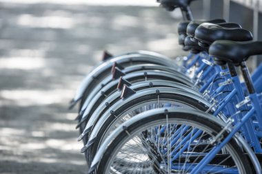 Bisiklet, aracı bacaklarının kaslı çabasıyla kullanan gezginin kendisi tarafından kullanılıyor.